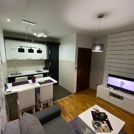 Vip Appartement Vrnjačka Banja